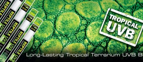 top-banners_UVB100-linear